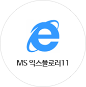 MS 익스플로러11